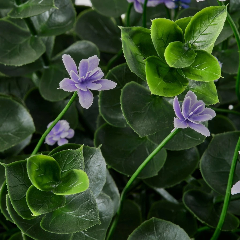 img2.webp