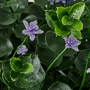 img2.webp