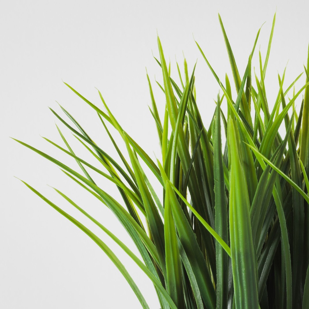 FEJKA Artificial potted plant - in/outdoor grass 9 cm