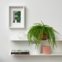 FEJKA Artificial potted plant - in/outdoor hanging/fern 12 cm