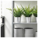 FEJKA Artificial potted plant - in/outdoor fern 9 cm
