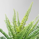 FEJKA Artificial potted plant - in/outdoor fern 9 cm