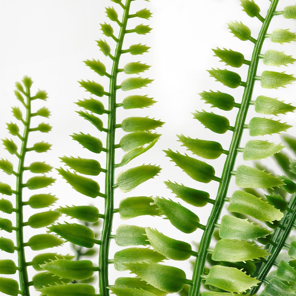 FEJKA Artificial potted plant - in/outdoor fern 9 cm