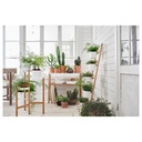 SATSUMAS Plant stand - bamboo/white 27 1/2"