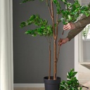 FEJKA Artificial potted plant - indoor/outdoor Weeping fig 8 ¼ "