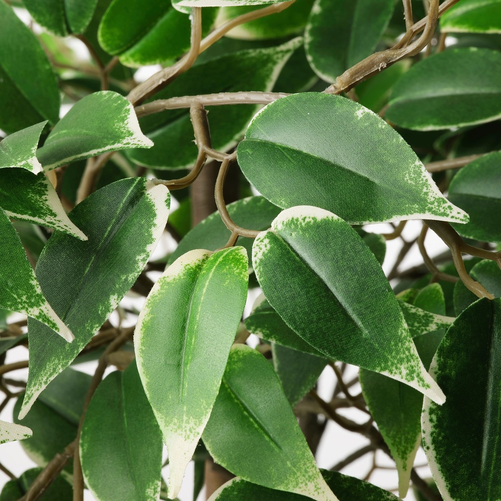 FEJKA Artificial potted plant - indoor/outdoor Weeping fig 8 ¼ "