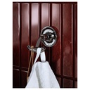 BROFJÄRDEN Double hook - chrome effect