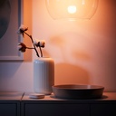 TRADFRI Remote control - smart wireless dimmable colour and white spectrum E27