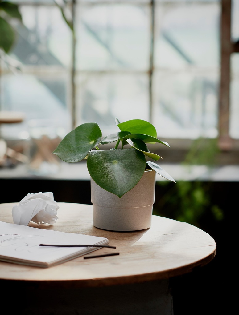 NYPON Plant pot - in/outdoor grey 12 cm