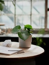 NYPON Plant pot - in/outdoor grey 12 cm