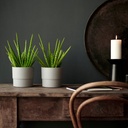 NYPON Plant pot - in/outdoor grey 12 cm