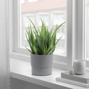 NYPON Plant pot - in/outdoor grey 12 cm