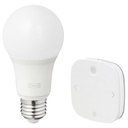 TRADFRI Remote control - smart wireless dimmable colour and white spectrum E27