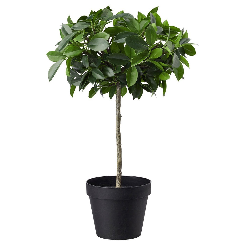 FEJKA Artificial plant - indoor/outdoor/weeping fig tree trunk 12 cm