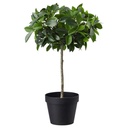 FEJKA Artificial plant - indoor/outdoor/weeping fig tree trunk 12 cm