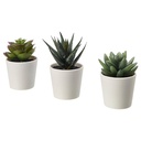 FEJKA Artificial potted plant with pot - in/outdoor Succulent 6 cm 3 pack