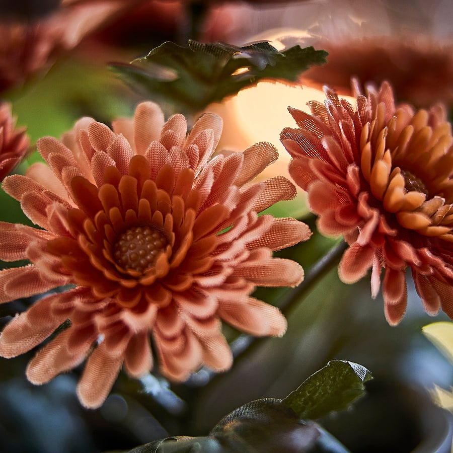 [90631216] FEJKA Artificial potted plant - in/outdoor/Chrysanthemums orange 9 cm