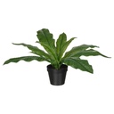 FEJKA Artificial potted plant - in/outdoor Crocodile fern 12 cm