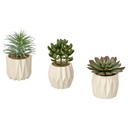 FEJKA Artificial potted plant, set of 3 - in/outdoor Succulent